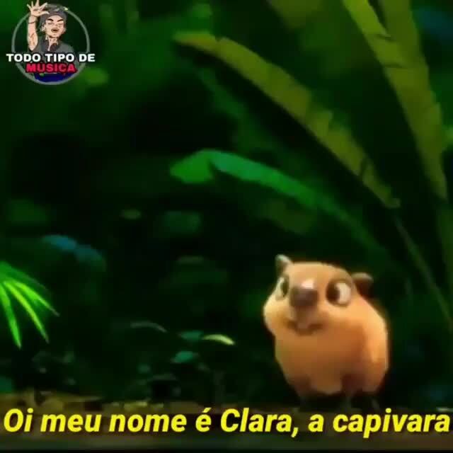 TIPO DE Oi meu nome Clara, a capivara - iFunny Brazil