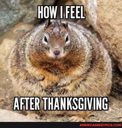HOW IFEEL
AFTER THANKSGIVING