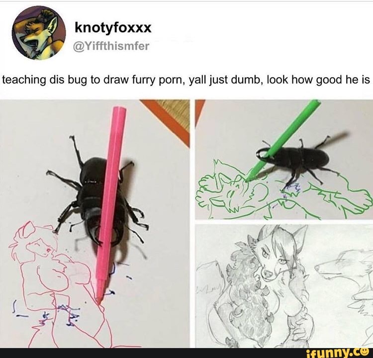 Teaching dis bug to draw furry porn, yaII just dumb, look how good he is -  iFunny :)