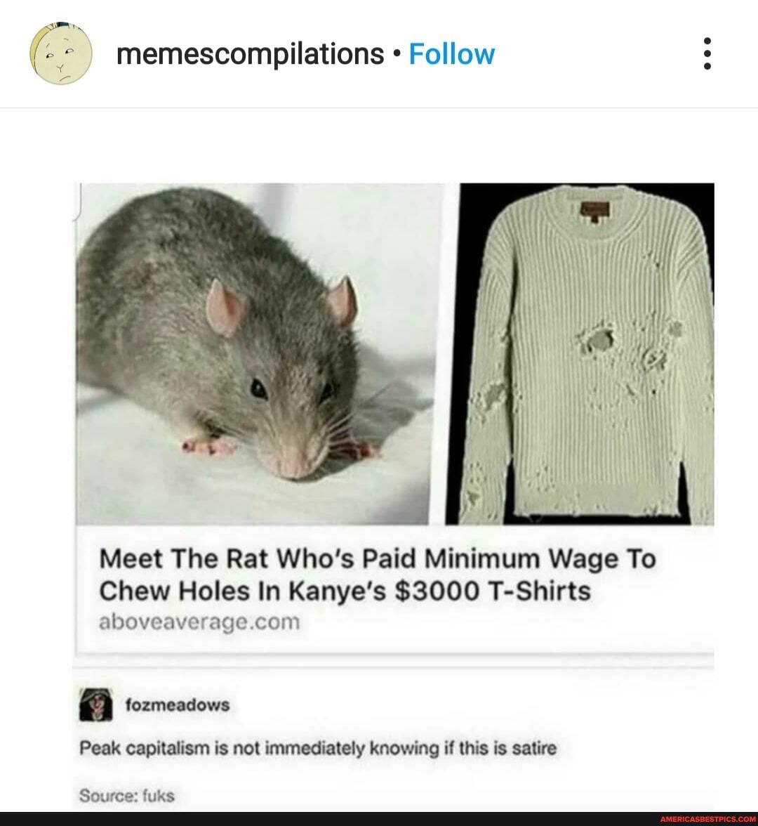 memescompilations Follow
Meet The Rat Who's Paid Minimum Wage To
Chew Holes In Kanye's $3000 T-Shirts
fozmeadows
Qa,
Peak capitalism is not immediately knowing if this is satire
