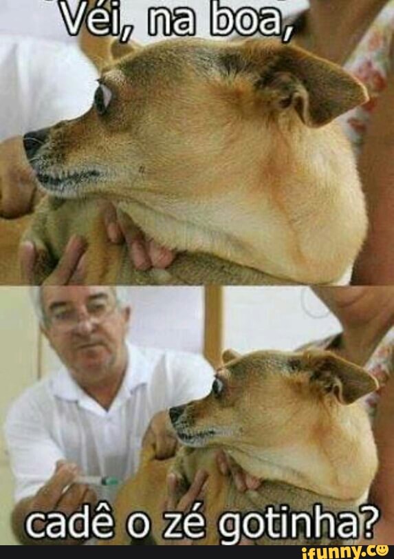 cadê 0 zé gotinhaf