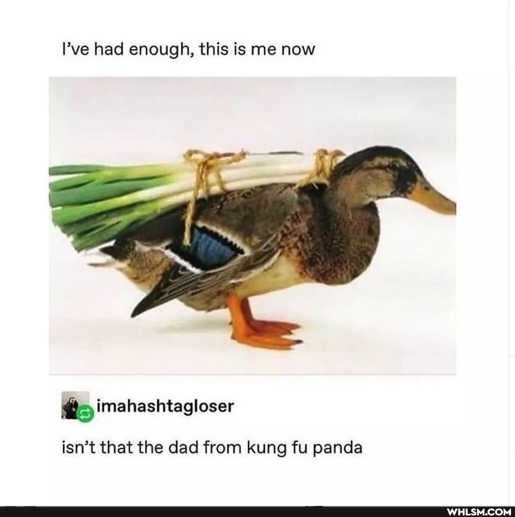 've had enough, this is me now
isn't that the dad from kung fu panda