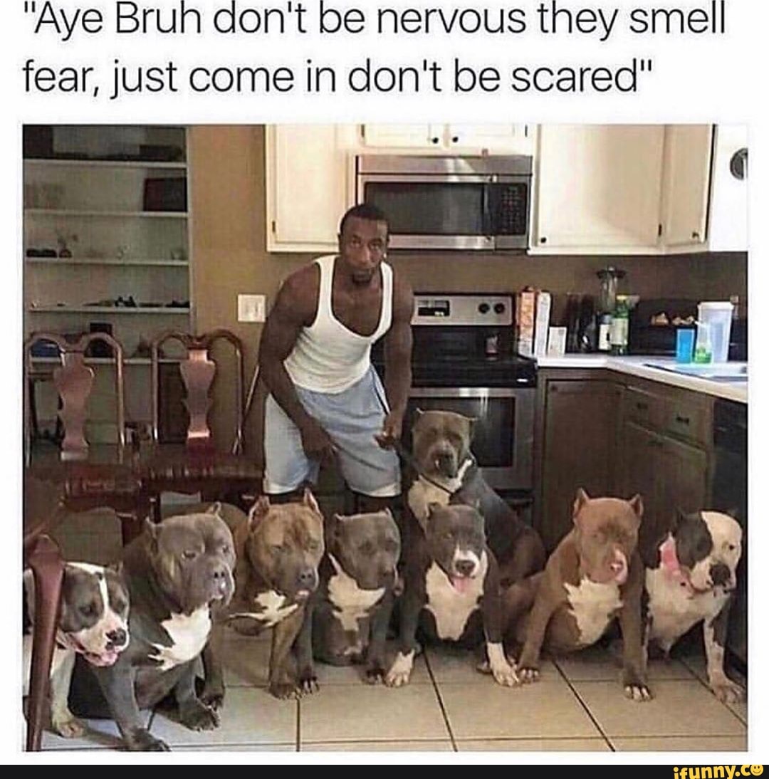 "Aye Brun dont be nervous they sme
fear, just come in don't be scared"