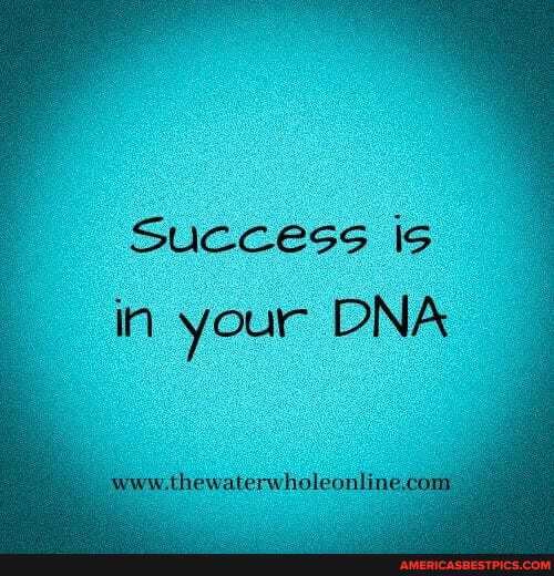 Success is
in your DNA