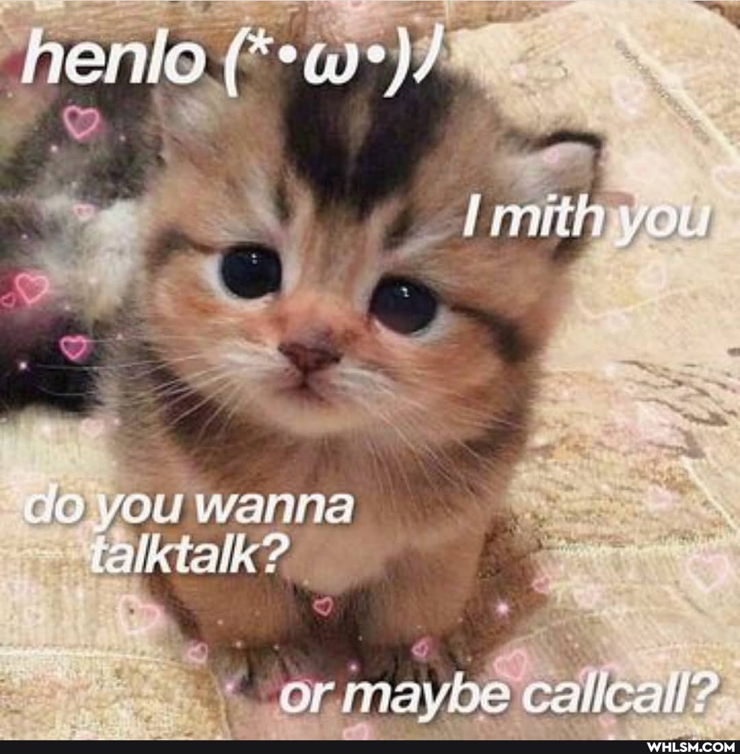 nenlo (eue)/
ele)
you
al
or maybe calicall?
