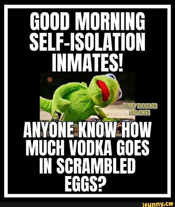 GOOD MORNING
SELF-ISOLATION
INMATES!
ANYONE: HON HOW
MUCH VODKA GOES
IN SCRAMBLED
EGGS?