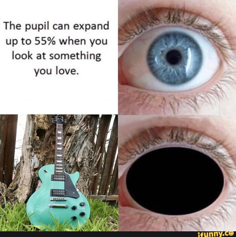 The pupil can expand up to 55% when you look at something you love.