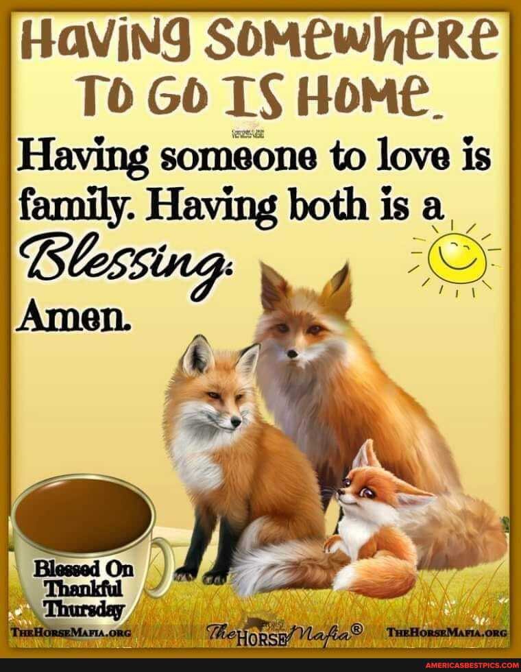 HaVING SOMewhERE To GO TS HoMe.
Having someone to love is
botin is