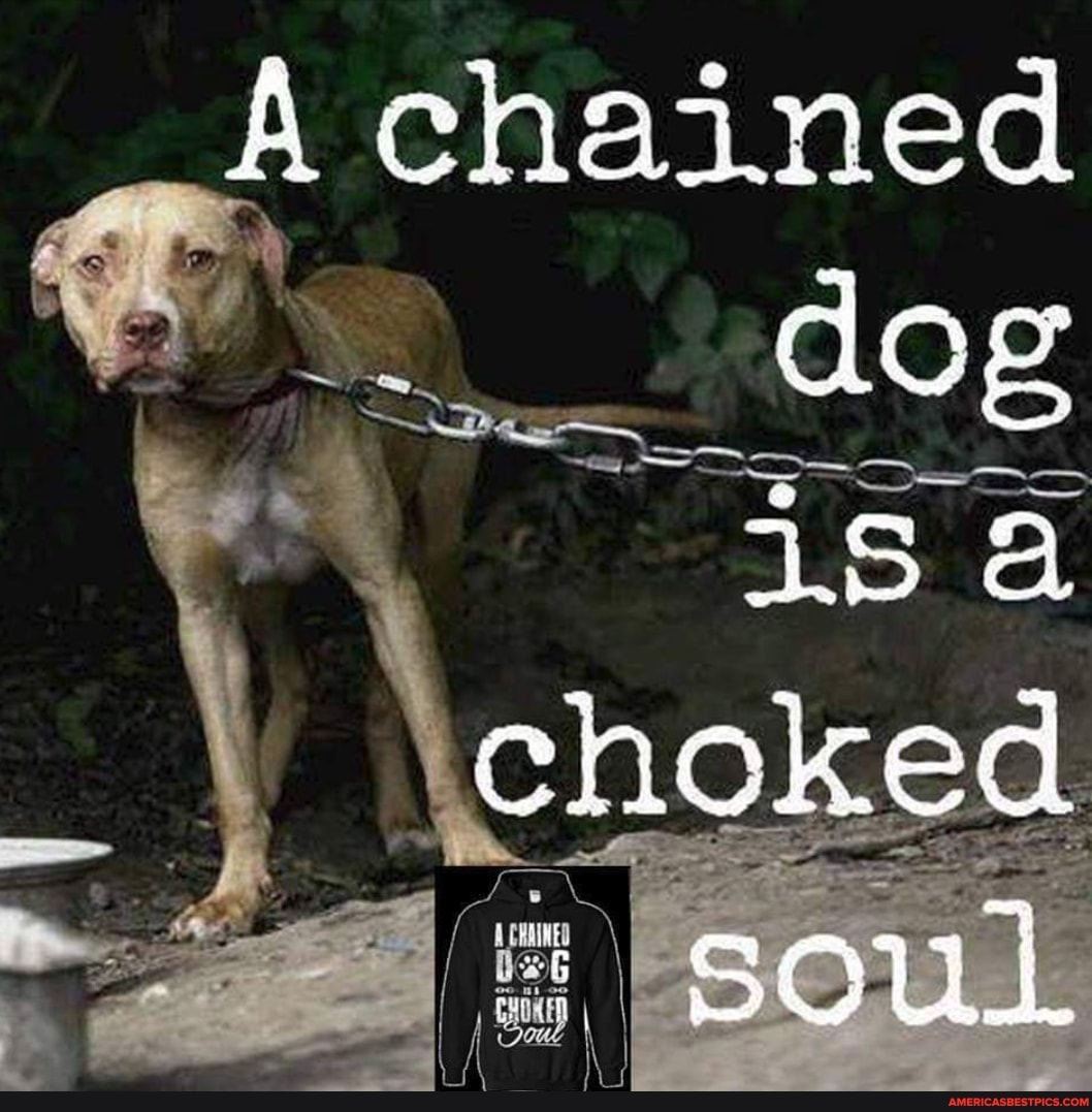 chained deg
LS