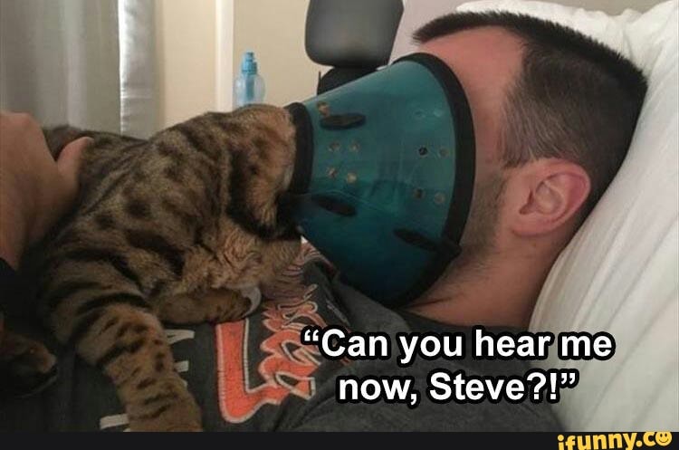 "Can you hear me now, Steve?!"