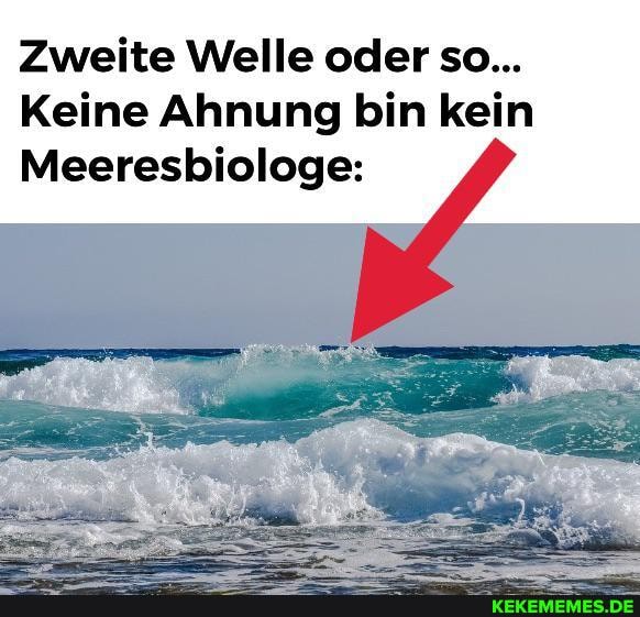 Zweite Welle oder so...
Keine Ahnung bin kein
Meeresbiologe: