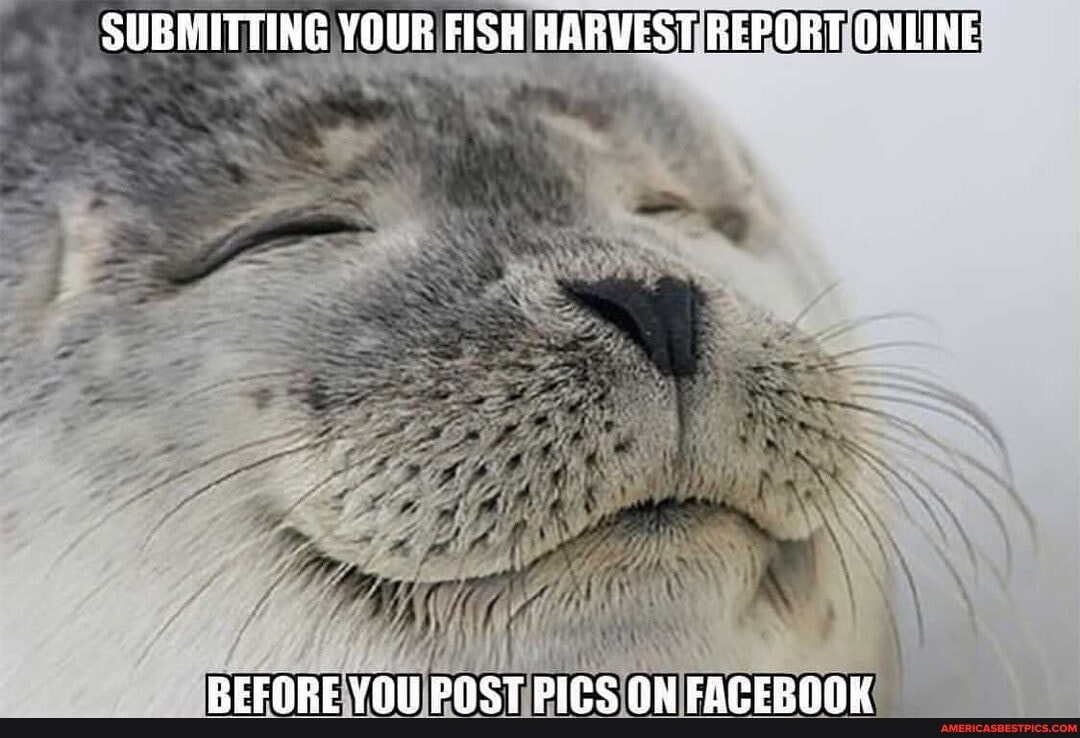 SUBMITTING YOUR FISH HARVEST REPORT ONLINE
DELOADE DACT CAREB ANY