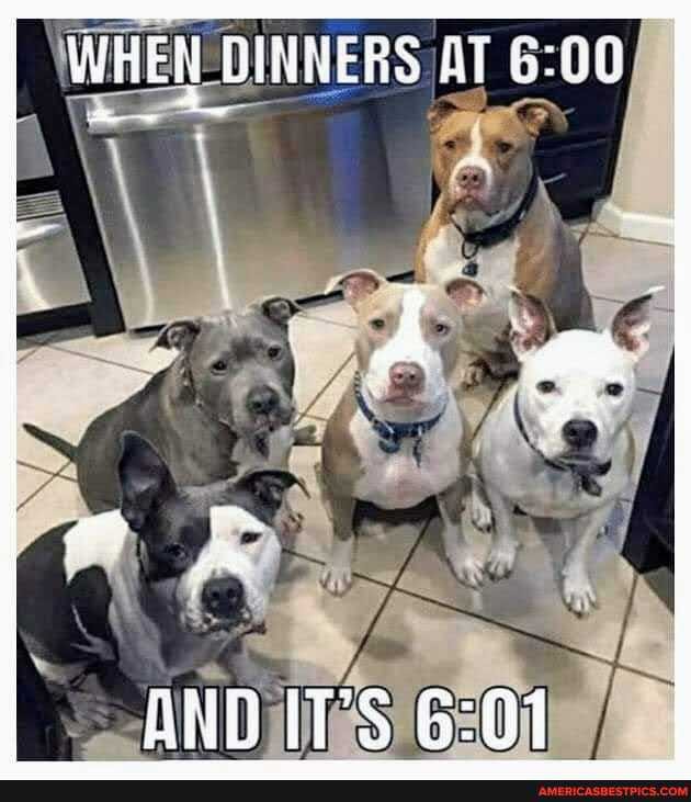 WHEN DINNERS AT
ANDAITS