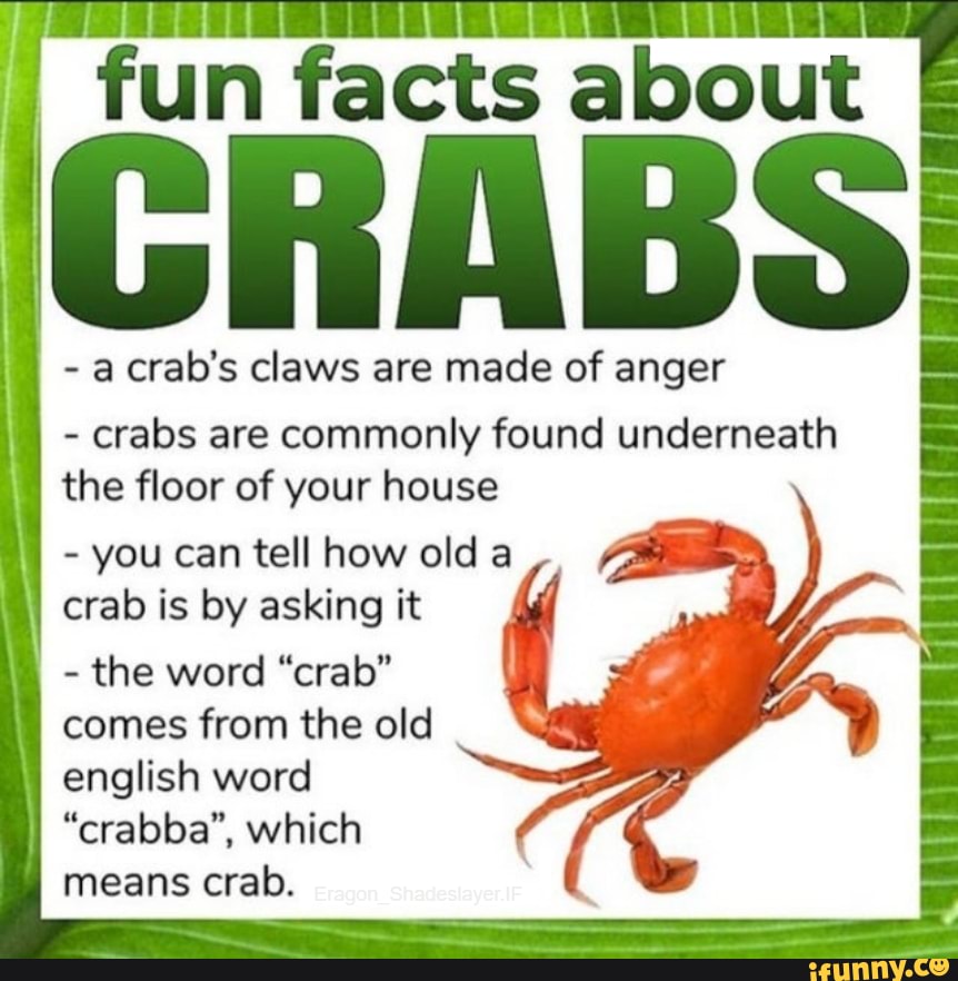 fun facts about
- crab's claws are made of anger
- crabs are commonly found underneath the floor of your house
- you can tell how old a crab is by asking it
- the word "crab" comes from the old english word
"crabba", which
means crab.