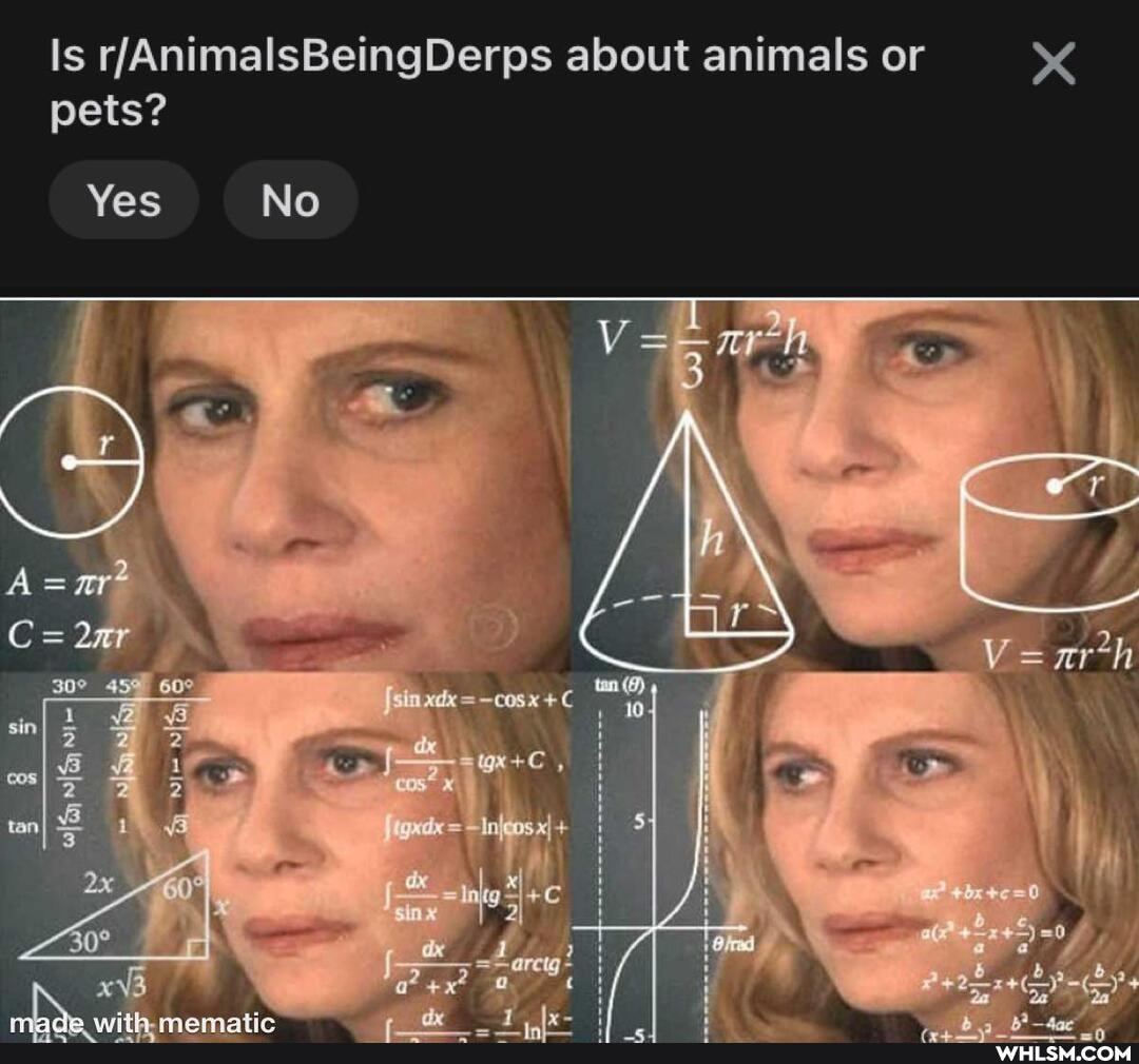 about animals or
pets?
Yes No
= +
tan
sin
5