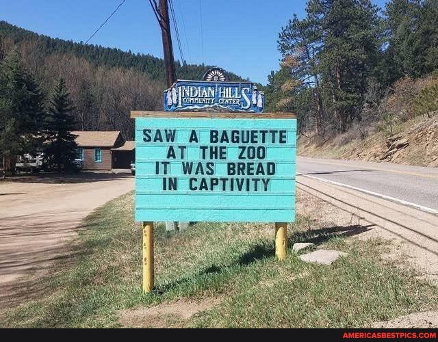 SAW _BAGUETTE AT THE IT WAS BREAD IN CAPTIVITY