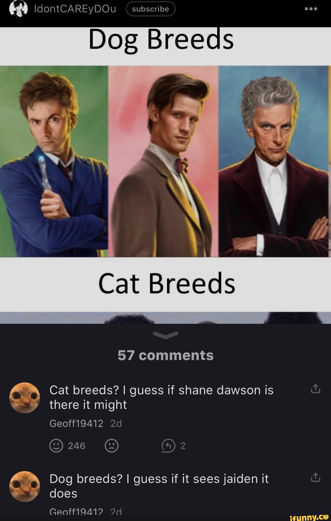 IdontCAREyDOu subscribe Dog Breeds Cat Breeds 57 comments Cat breeds? I