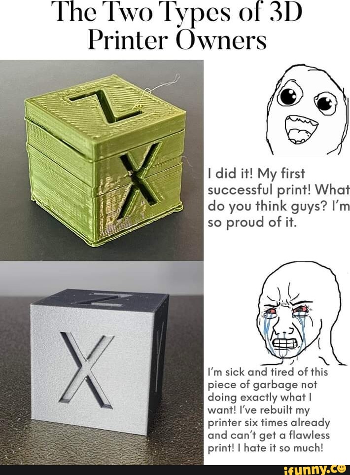 'The Two Types of Printer Owners I did it! My first successful print ...
