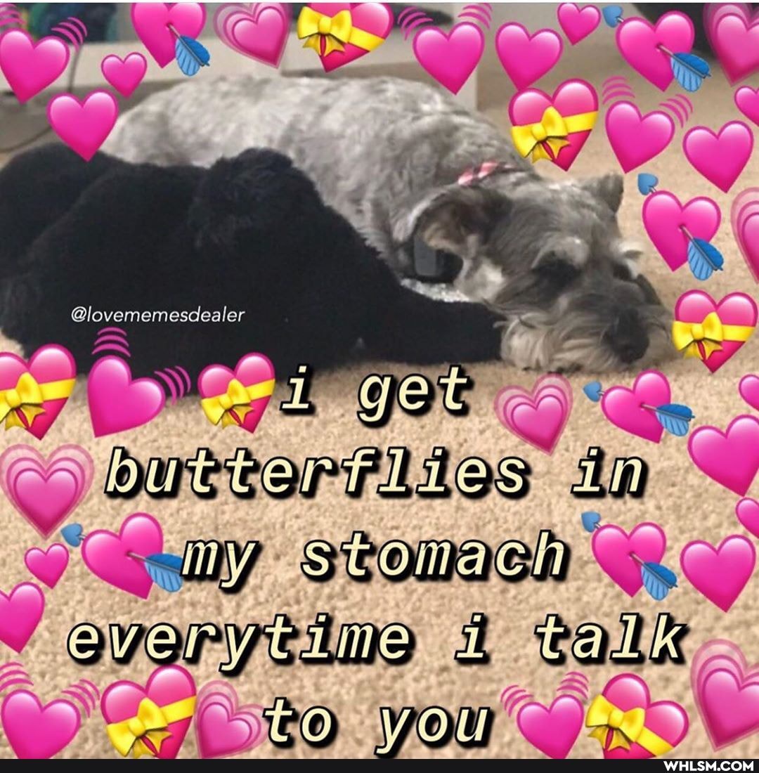 Blovememesdealer
vi JOU
CO
DuctorFiãos aM "q
stonach RY
2 talk
PO) IVO UI Co