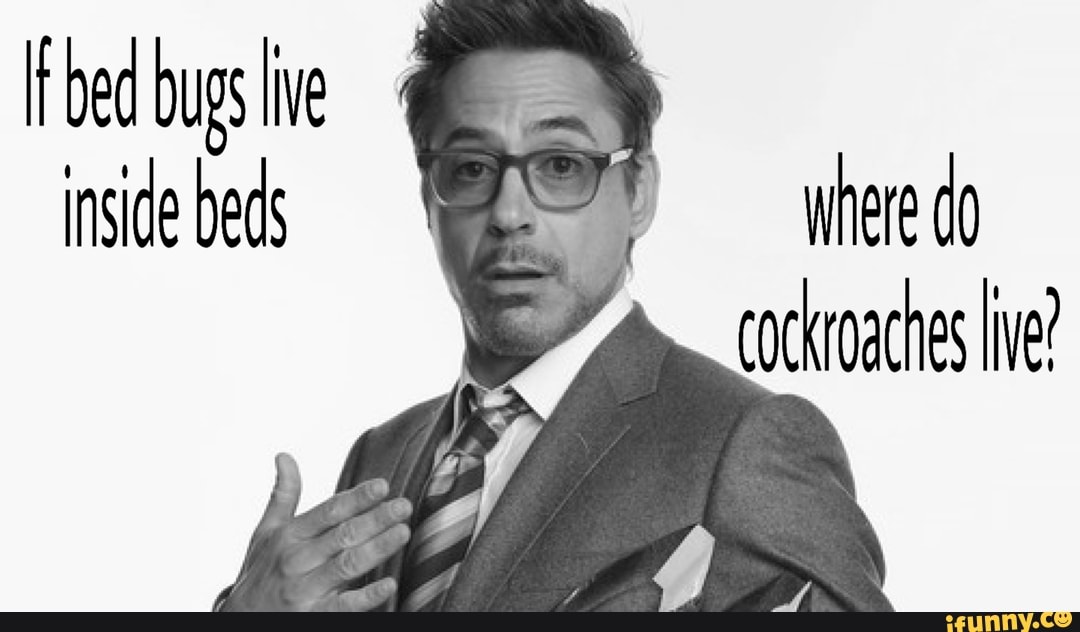 Lfbed bugslive ' inside beds where do cockroaches live? iFunny