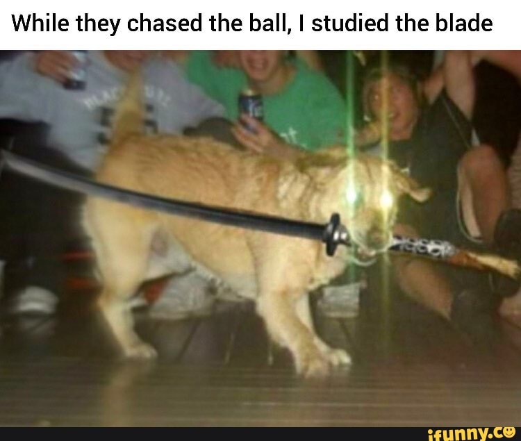 Thesis tea sis meme 07 picture