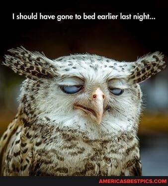 should have gone to bed earlier last night...