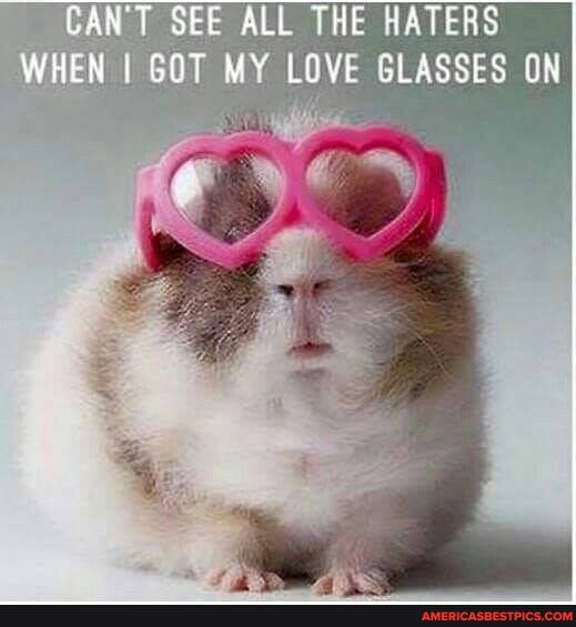 CANT SEE ALL THE HATERS WHEN I GOT MY LOVE GLASSES ON