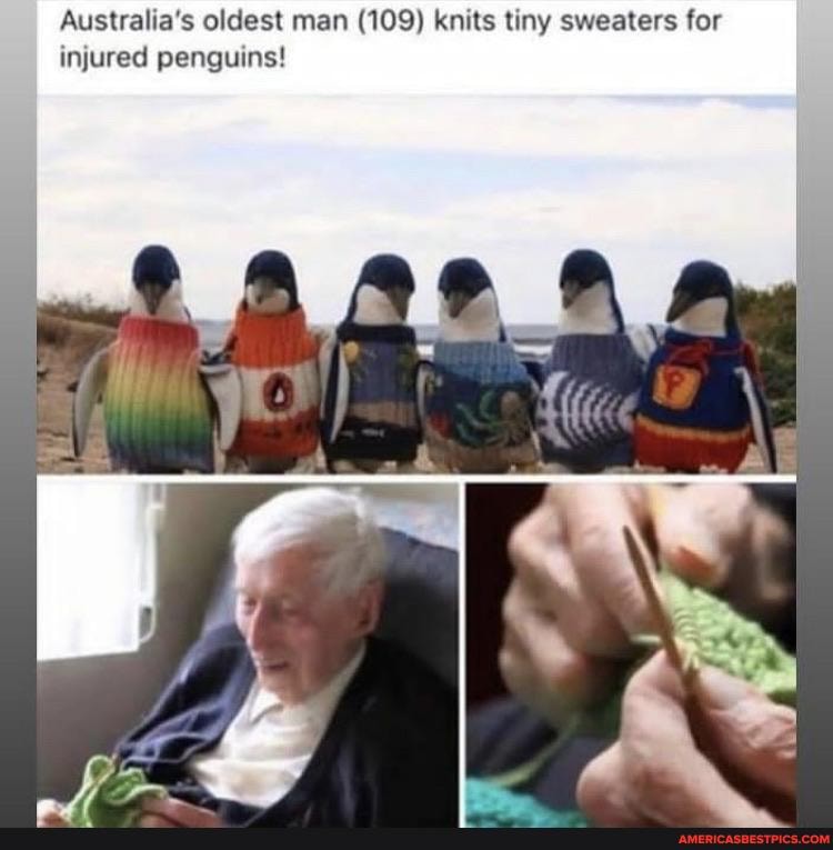 Australia's oldest man (109) knits tiny sweaters for injured penguins!