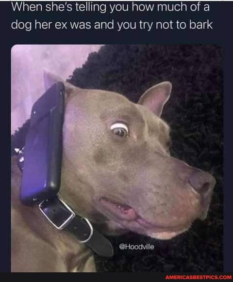 When she's telling you how much of a
dog her ex was and you try not to bark