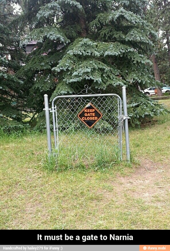 It must be a gate to Nar - It must be a gate to Narnia