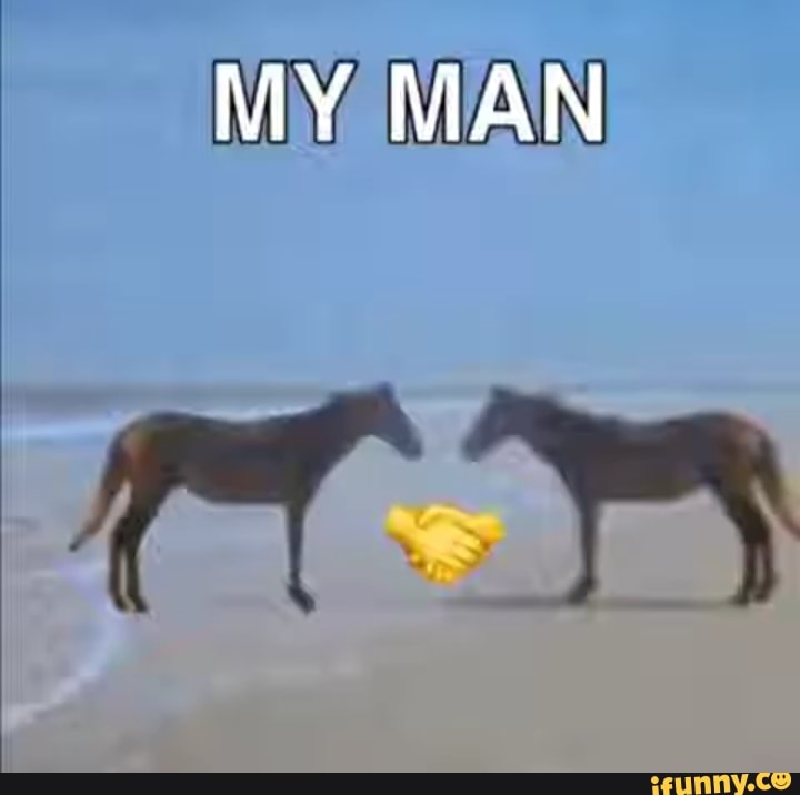 my, man, cavalo