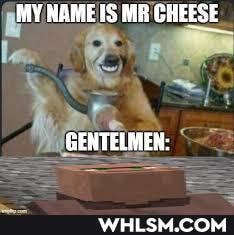 NAME IS MR CHEESE Lew
GENTELMEN: