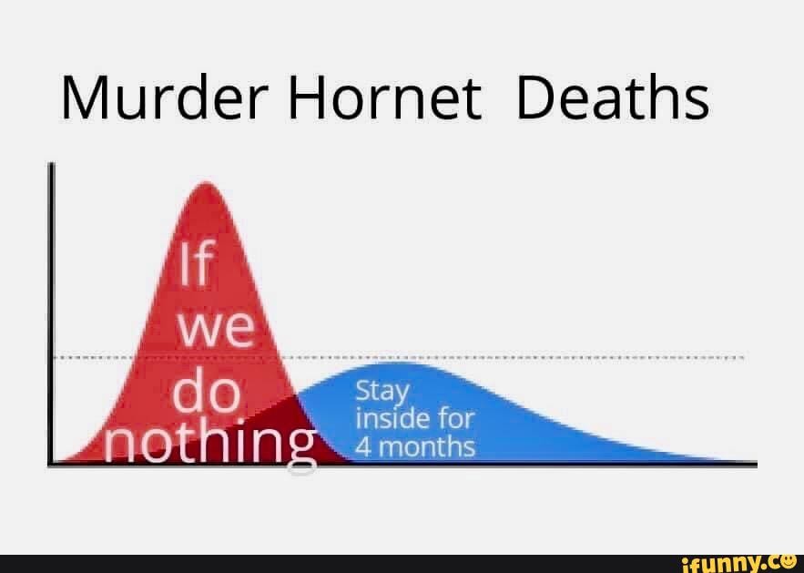 Murder Hornet Deaths
inside for
4 months