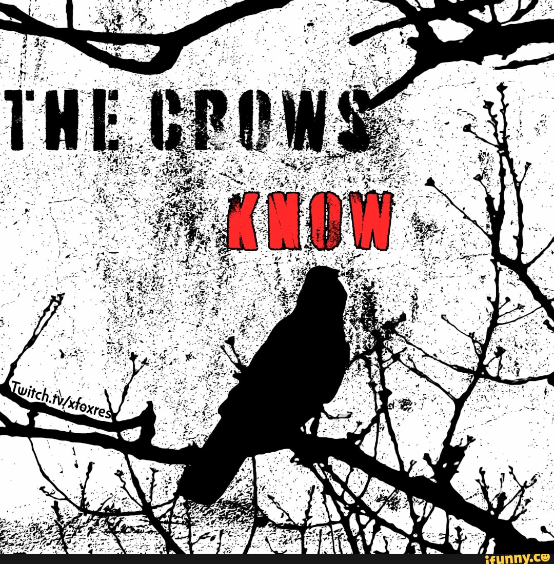 Crows memes. Best Collection of funny Crows pictures on iFunny
