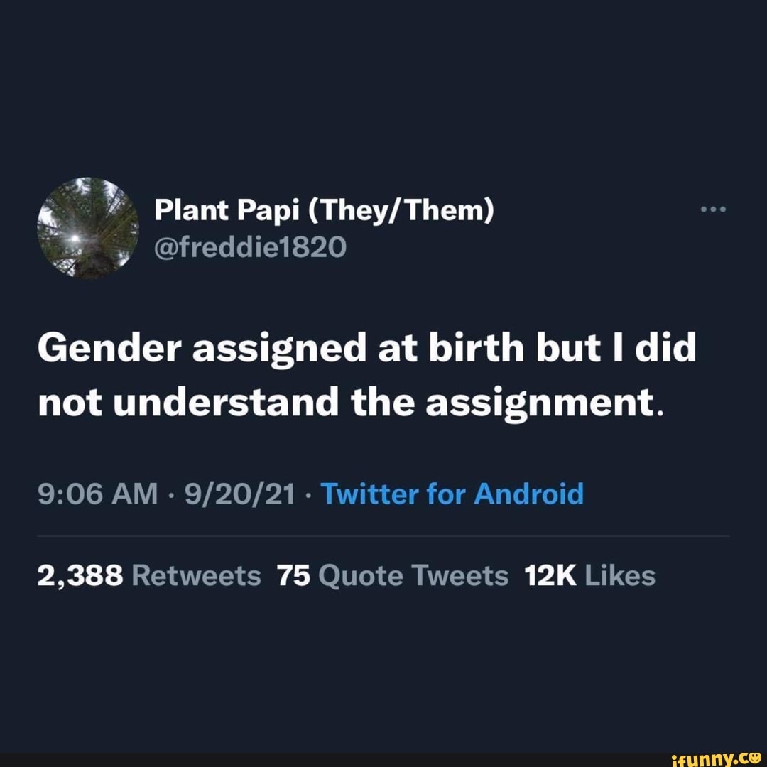 gender assignment meme