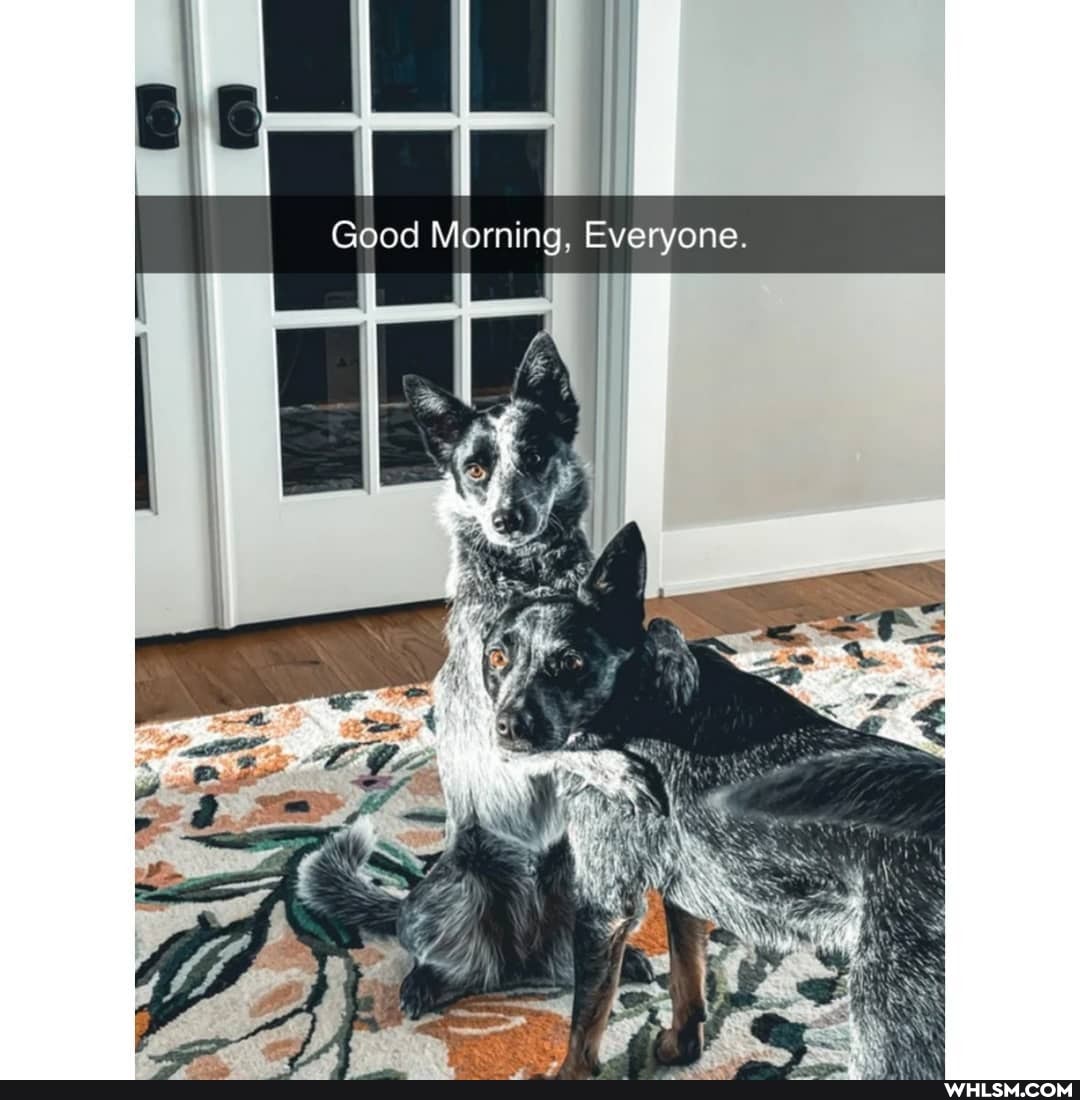 Everyone.
dod Morning,