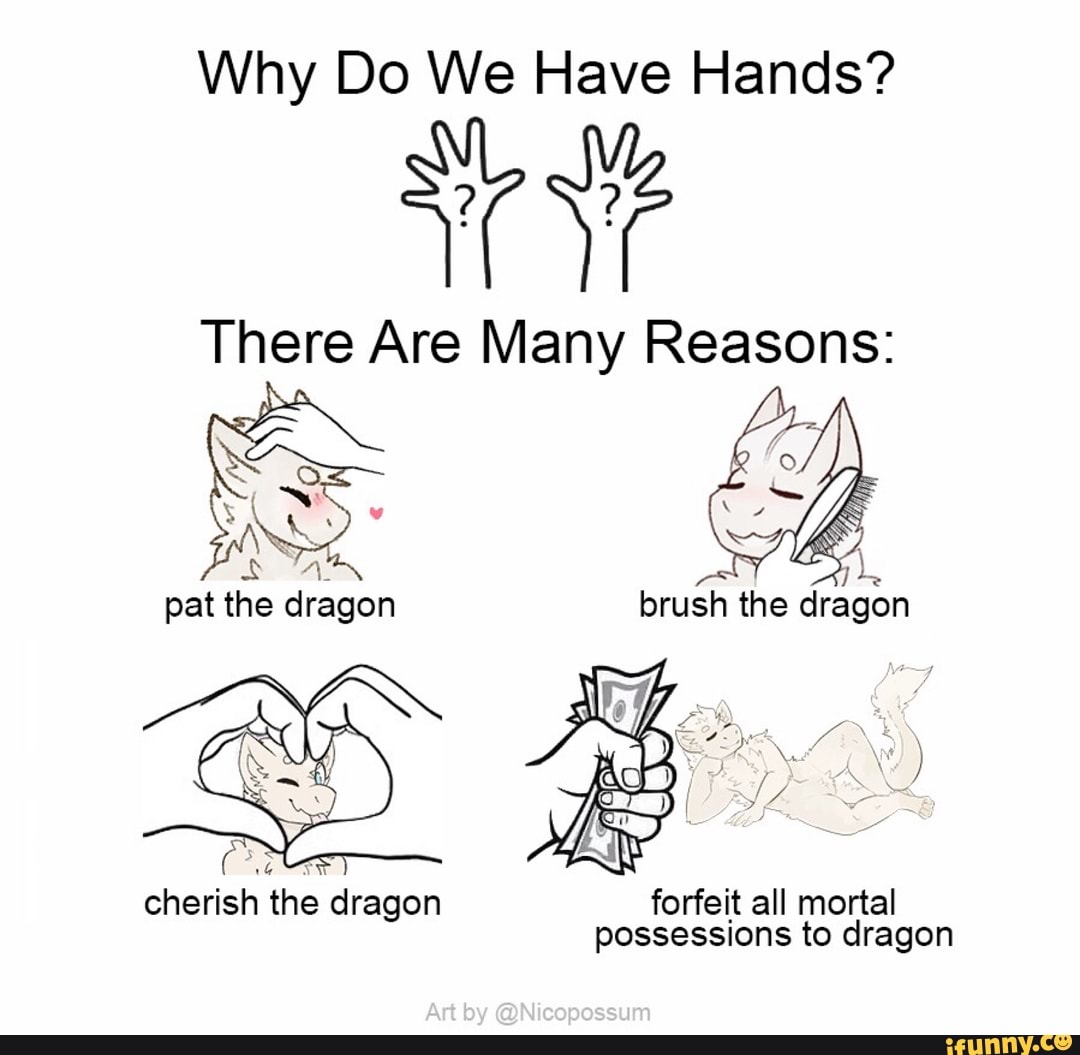 Why Do We Have Hands? There Are Many Reasons: pat the dragon cherish ...