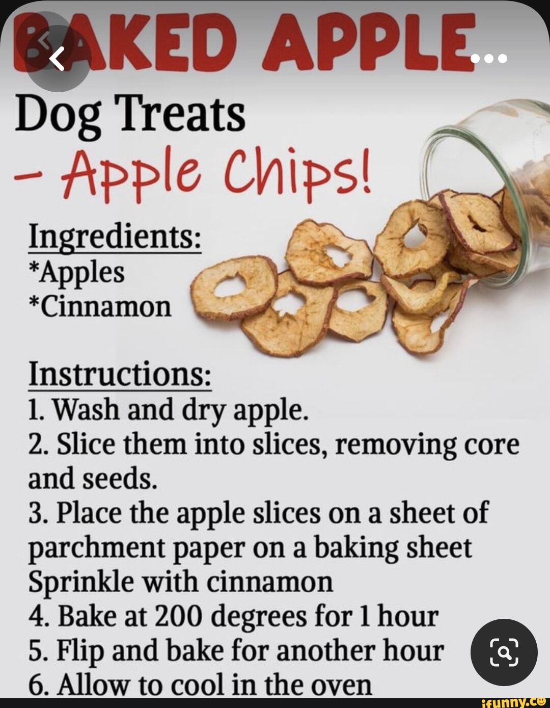 AKED APPLE Dog Treats Apple Chips! I Ingredients *Apples *Cinnamon