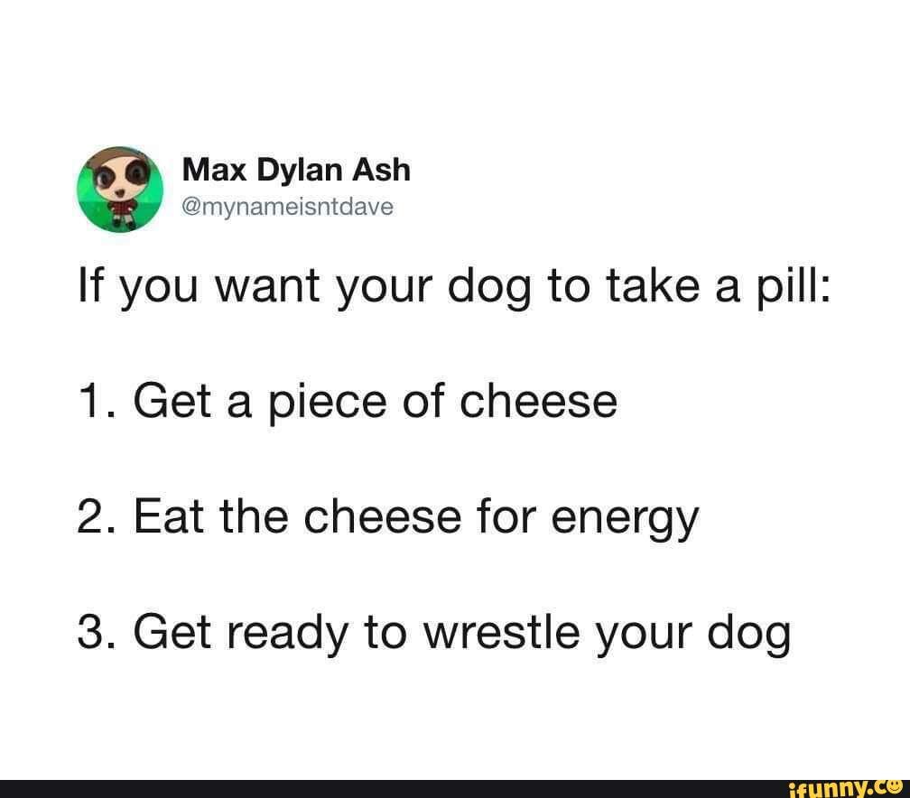 If you want your dog to take a pill:
1. Get a piece of cheese
2. Eat the cheese for energy
3. Get ready to wrestle your dog