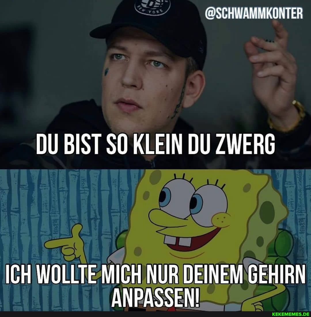 DU BIST SO KLEIN DU ZWERG
ICH WOLLTE MICH NUR DEINEM GEHIRN ANPASSENI