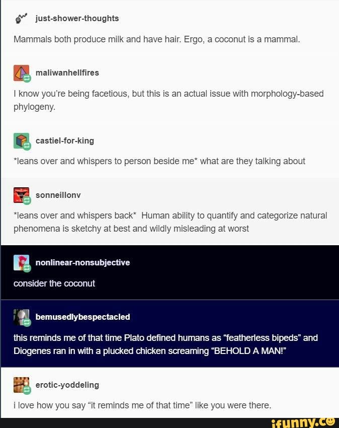 Mammals both produce milk and have hair. Ergo, a coconut is a mammal I