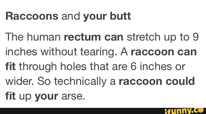 Raccoons and your butt The human rectum can stretch up to 9 inches
