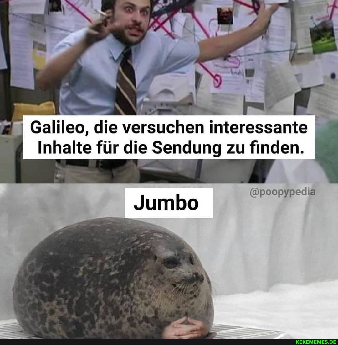 AN
Galileo, die versuchen n interessante I Inhalte für die Sendung zu finden.
@poopypedia
Jumbo