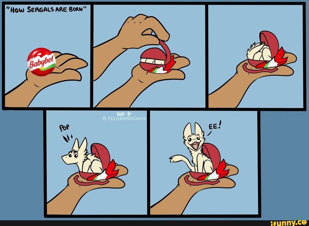 "How SERGALS ARE BoRN"