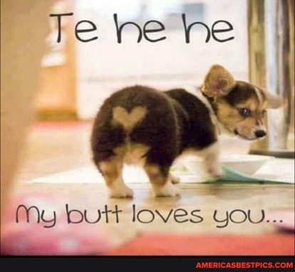 Te ne he
My butt loves you...