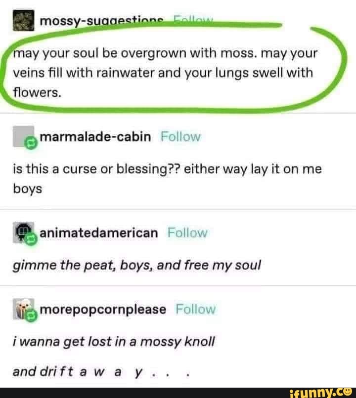 jay your soul be overgrown with moss. may your veins fill with rainwater and your lungs swell with flowers.
@Marmalade-cabin Follow
is this a curse or blessing?? either way lay it on me boys animatedamerican Follow
gimme the peat, boys, and free my soul
Morepopcornplease Follow iwanna get lost in a mossy knoll
and