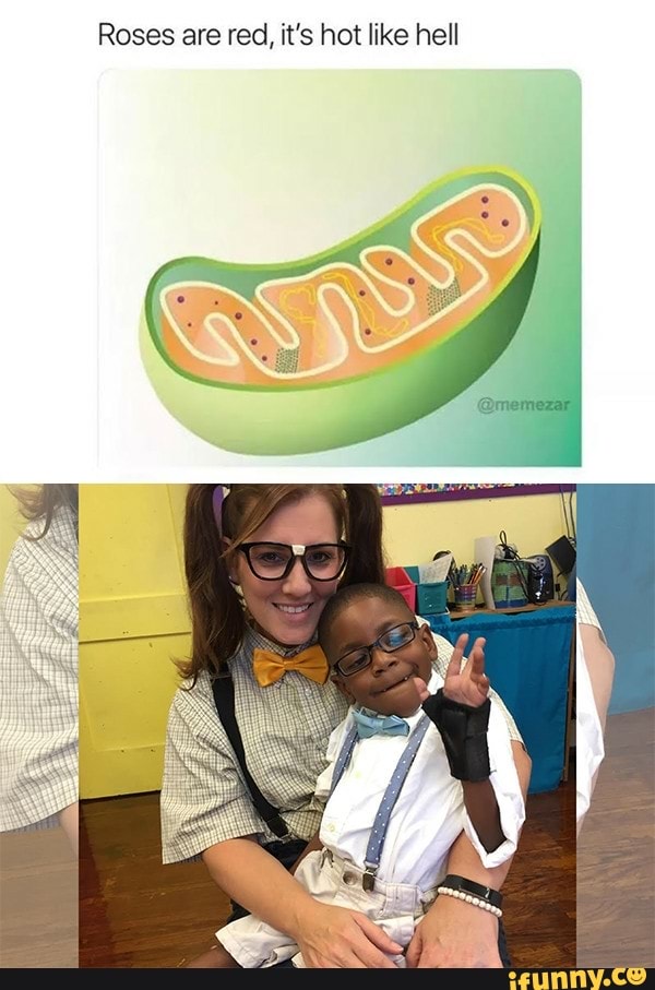 Roses are red, it’s hot like hell iFunny