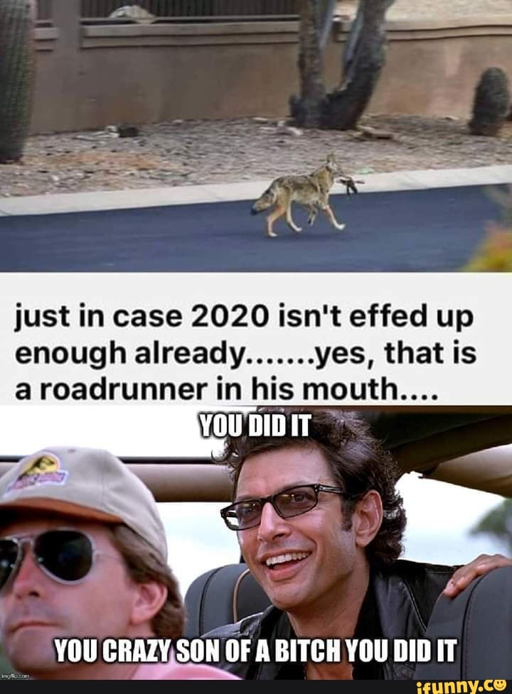 just in case 2020 isn't effed up
a roadrunner in his mouth....
YOU [UM OF A BITCHYOU DID IT