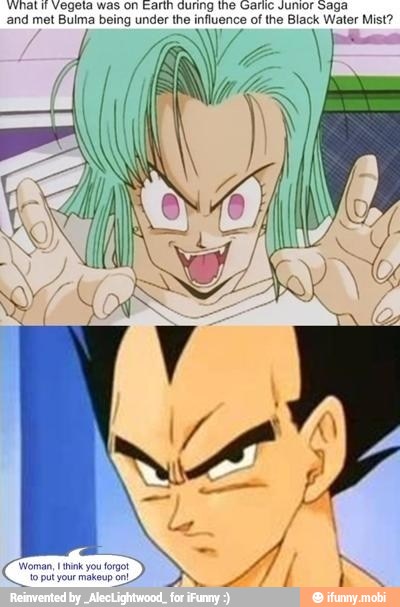 What Vegeta was on Earth during the Garlic Junior Saga
and met Bulma being under the influence of the Black Water Mist?