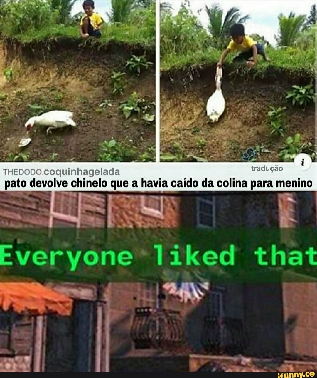 THEDODO.coquinhagelada tradução
pato devolve chinelo que a havia caído da colina para menino
Everyone* liked that